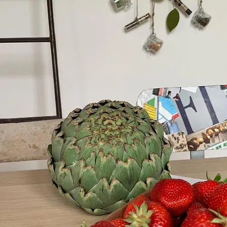 Scholabnb “ Percorso Esperenziale Di Rurale Sostenibile” Frühstückspension Campofilone