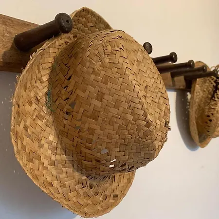 Frühstückspension Scholabnb “ Percorso Esperenziale Di Rurale Sostenibile”