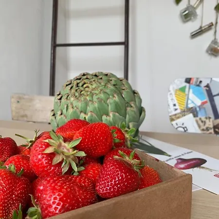 Frühstückspension Scholabnb “ Percorso Esperenziale Di Rurale Sostenibile” Campofilone