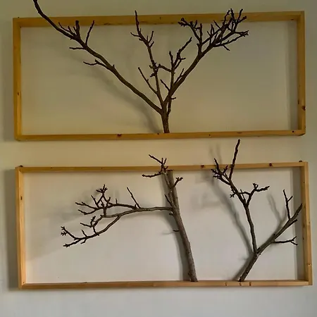 Scholabnb “ Percorso Esperenziale Di Rurale Sostenibile” Frühstückspension