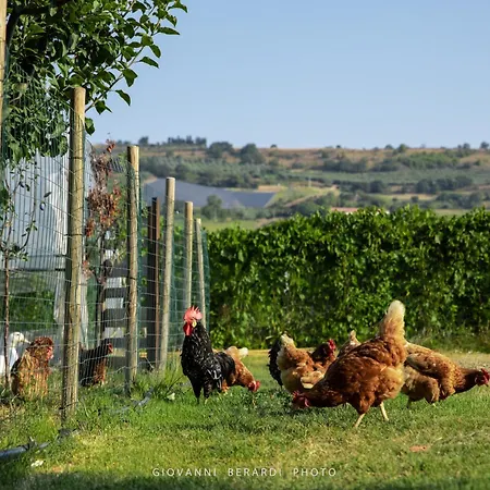 Scholabnb “ Percorso Esperenziale Di Rurale Sostenibile” * Campofilone