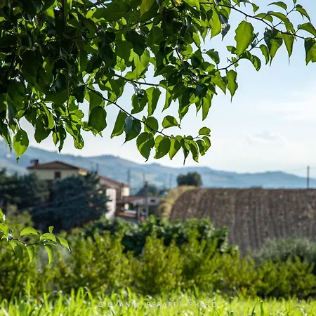 Scholabnb “ Percorso Esperenziale Di Rurale Sostenibile” Frühstückspension